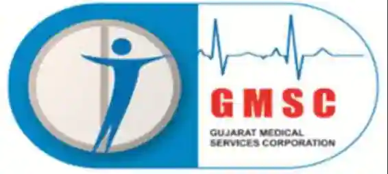 gujarat-medical-services29